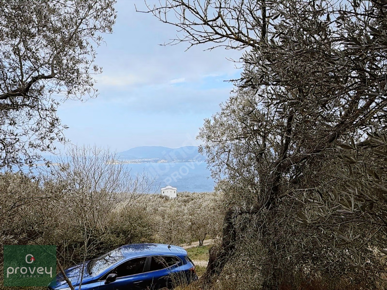 Provey Vera Bandırma Edincik Deniz Manzaralı Zeytinlik