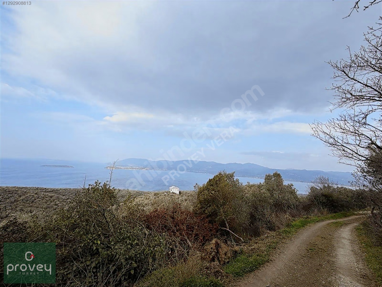 Provey Vera Bandırma Edincik Deniz Manzaralı Zeytinlik