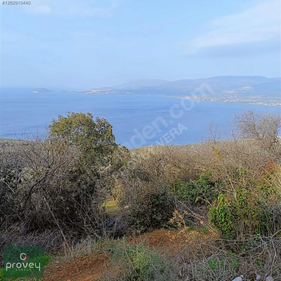 Provey Vera Bandırma Edincik Satılık Zeytinlik