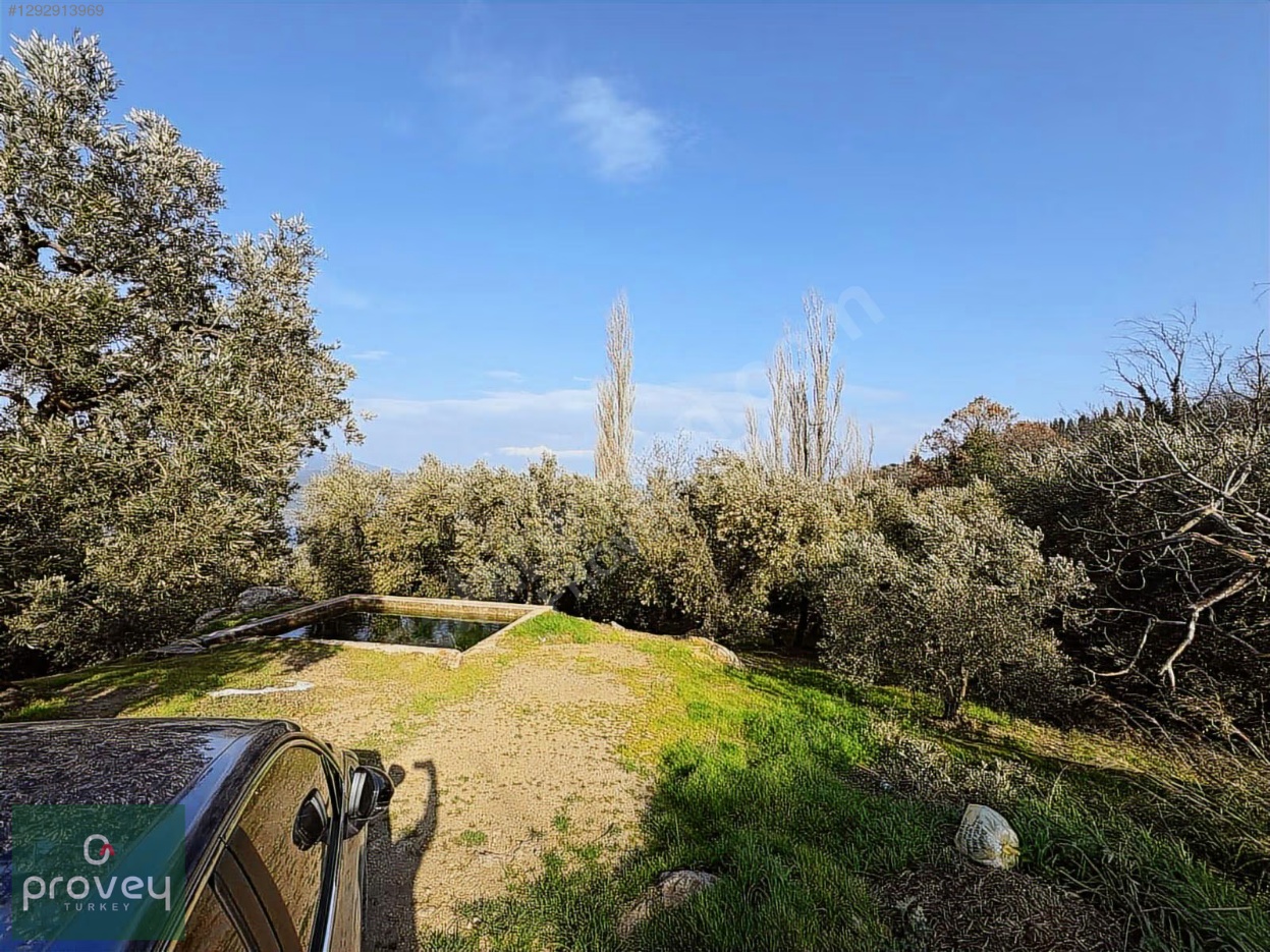 PROVEY VERA SATILIK BANDIRMA EDİNCİK ZEYTİNLİK