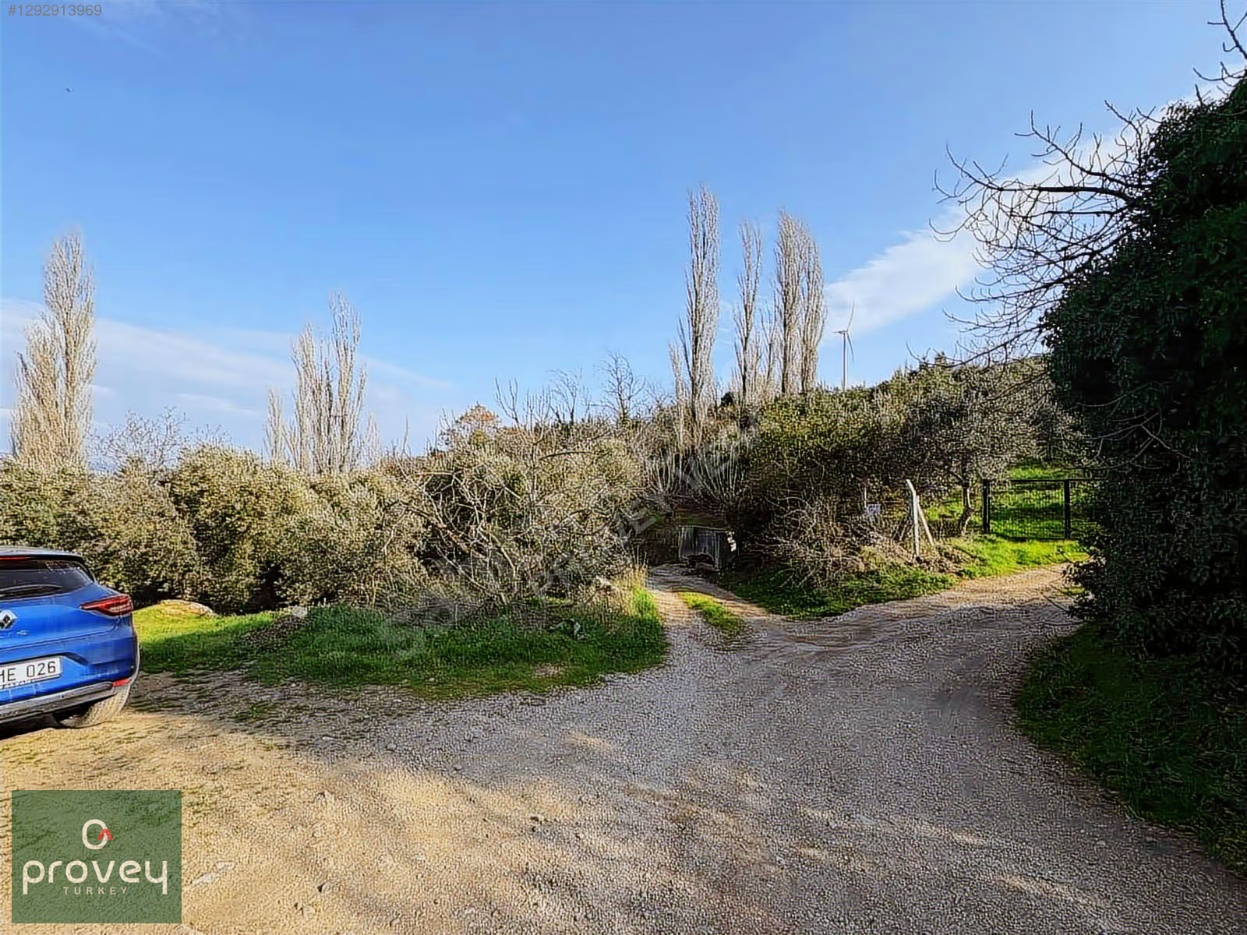 Provey Vera Satılık Bandırma Edincik Zeytinlik