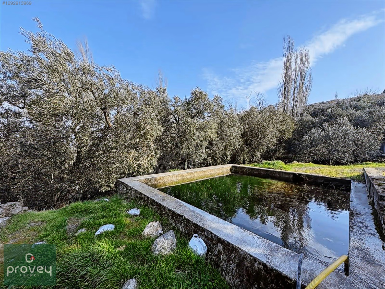 Provey Vera Satılık Bandırma Edincik Zeytinlik