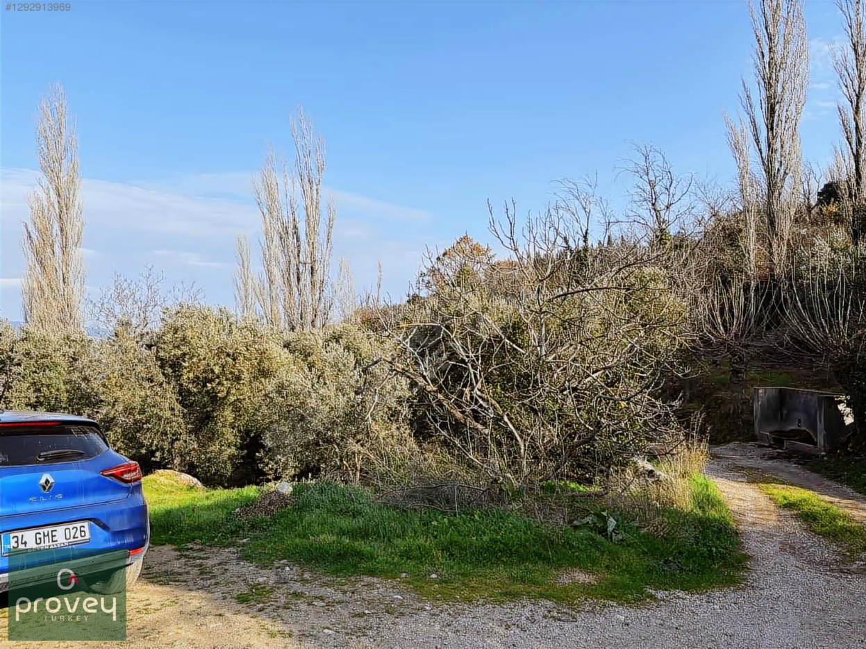 Provey Vera Satılık Bandırma Edincik Zeytinlik