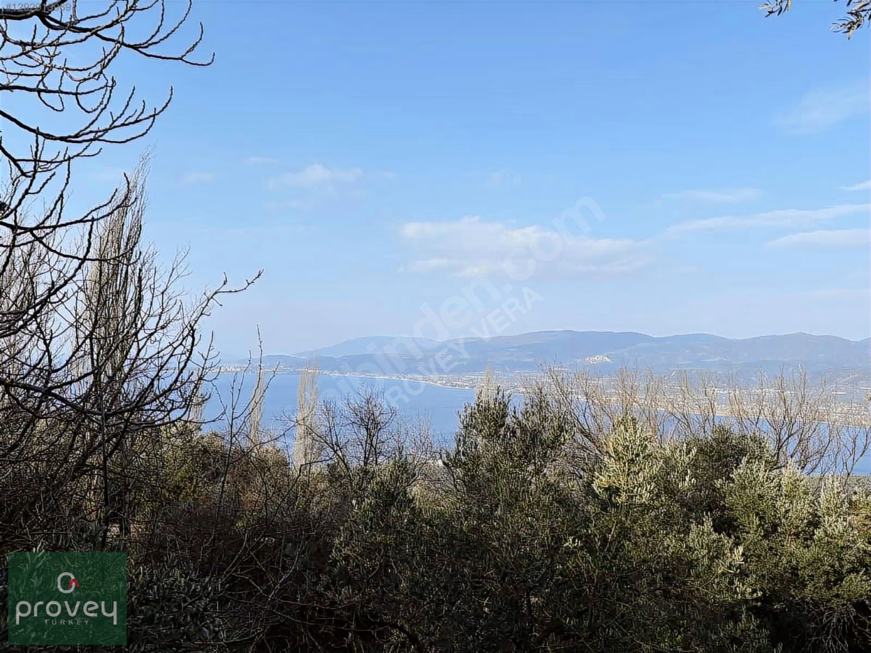 Provey Vera Satılık Bandırma Edincik Zeytinlik