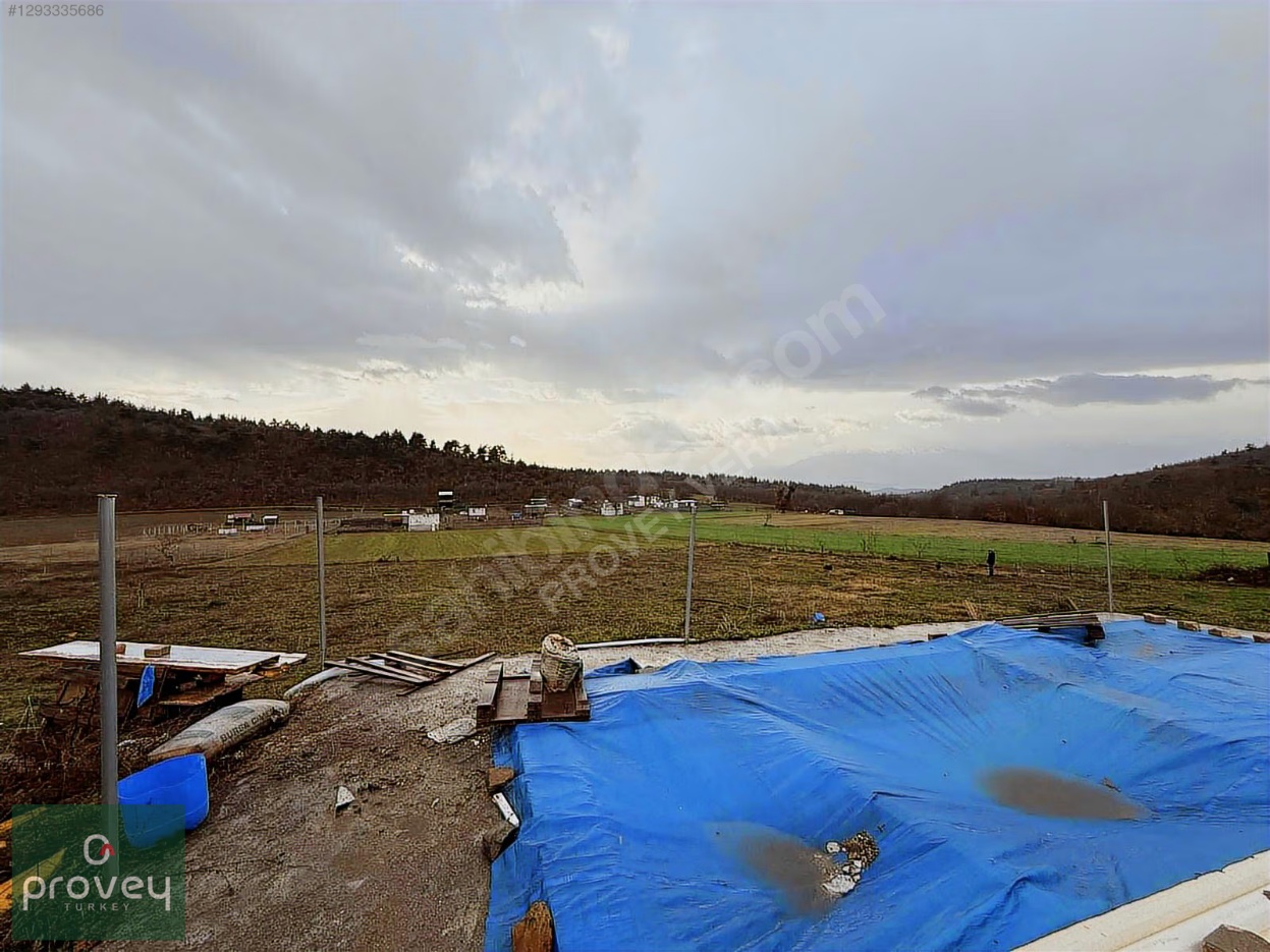 Provey Vera Satılık Kestel Gölcük Tarla