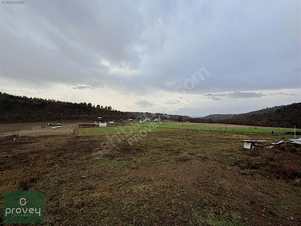 Provey Vera Satılık Kestel Gölcük Tarla