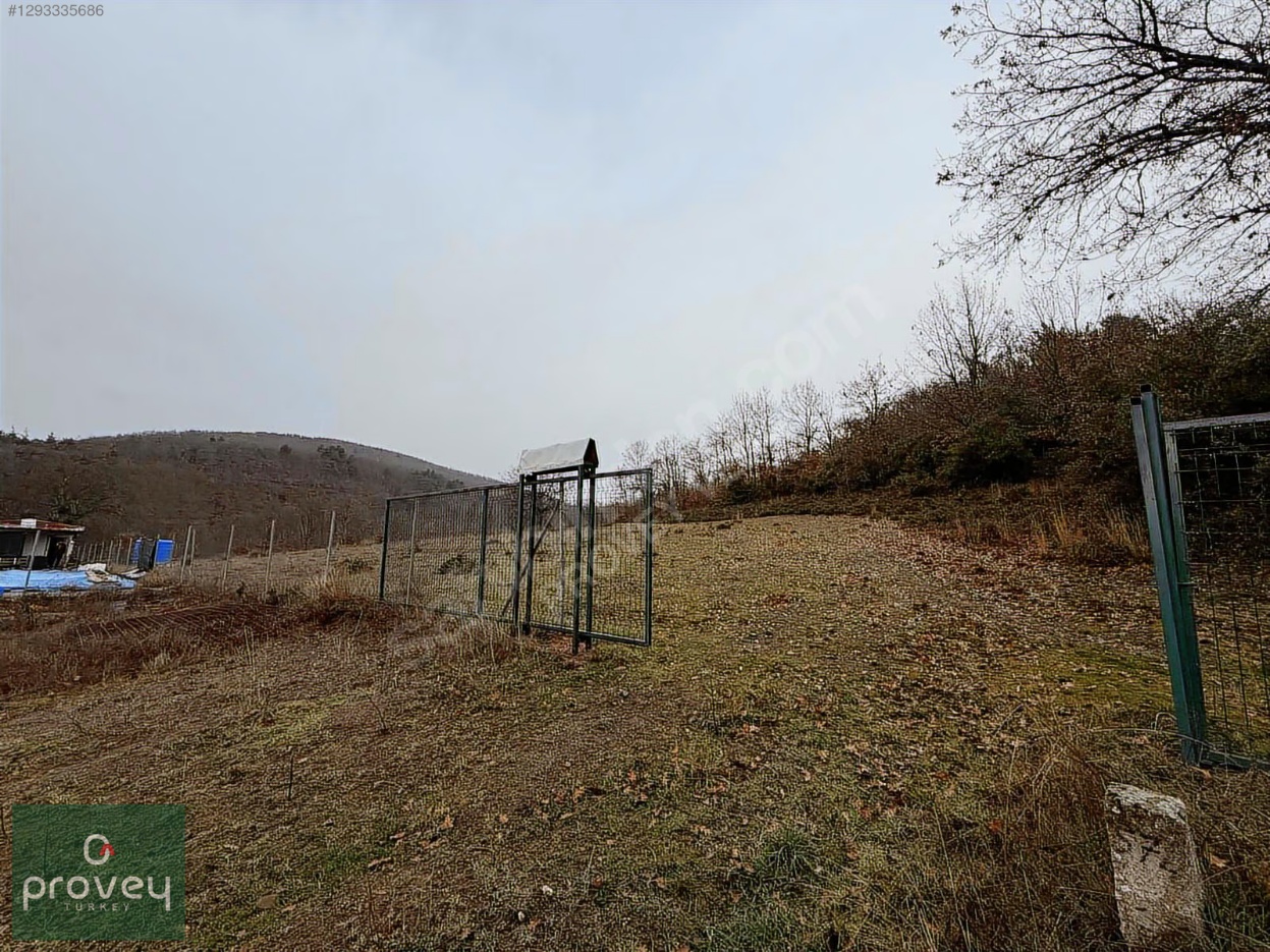 Provey Vera Satılık Kestel Gölcük Tarla