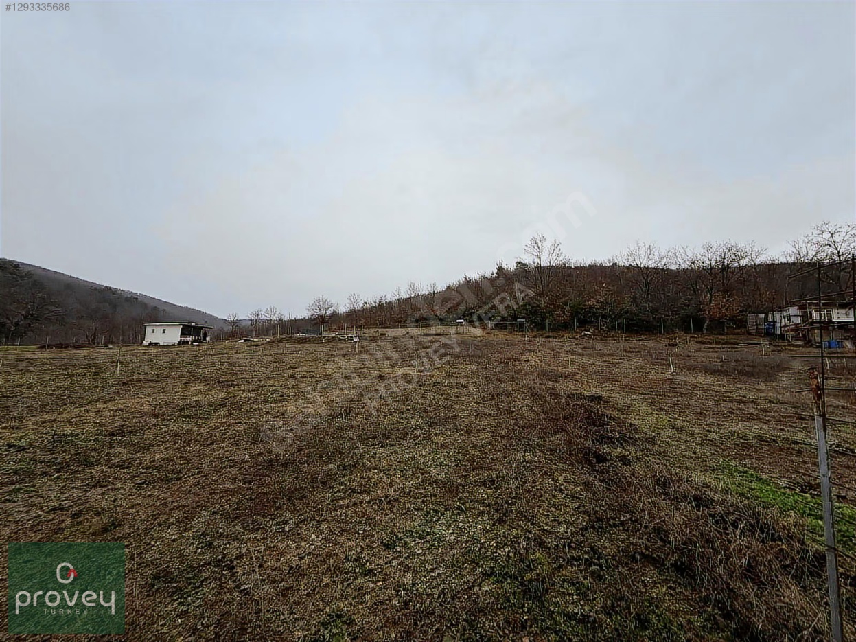 Provey Vera Satılık Kestel Gölcük Tarla