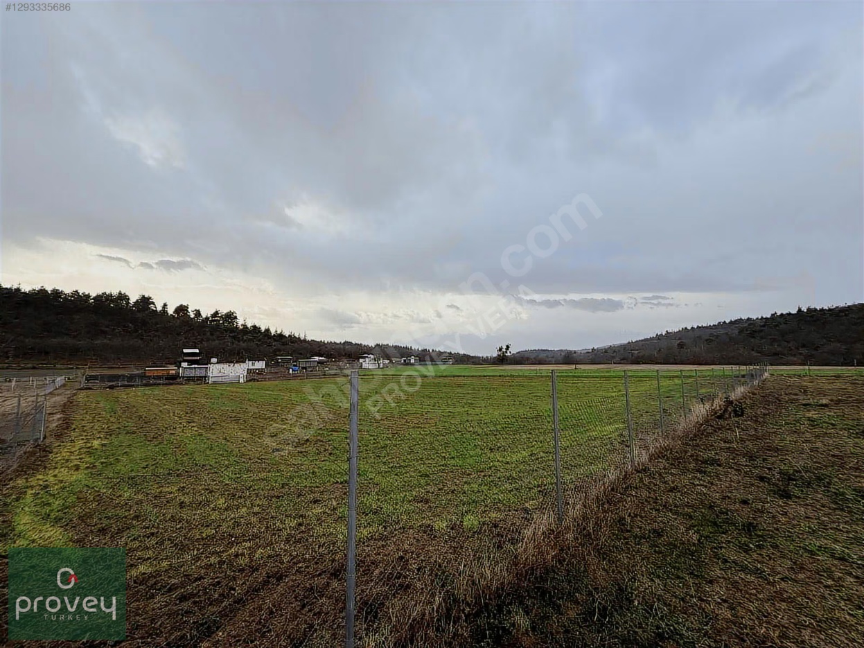Provey Vera Satılık Kestel Gölcük Tarla