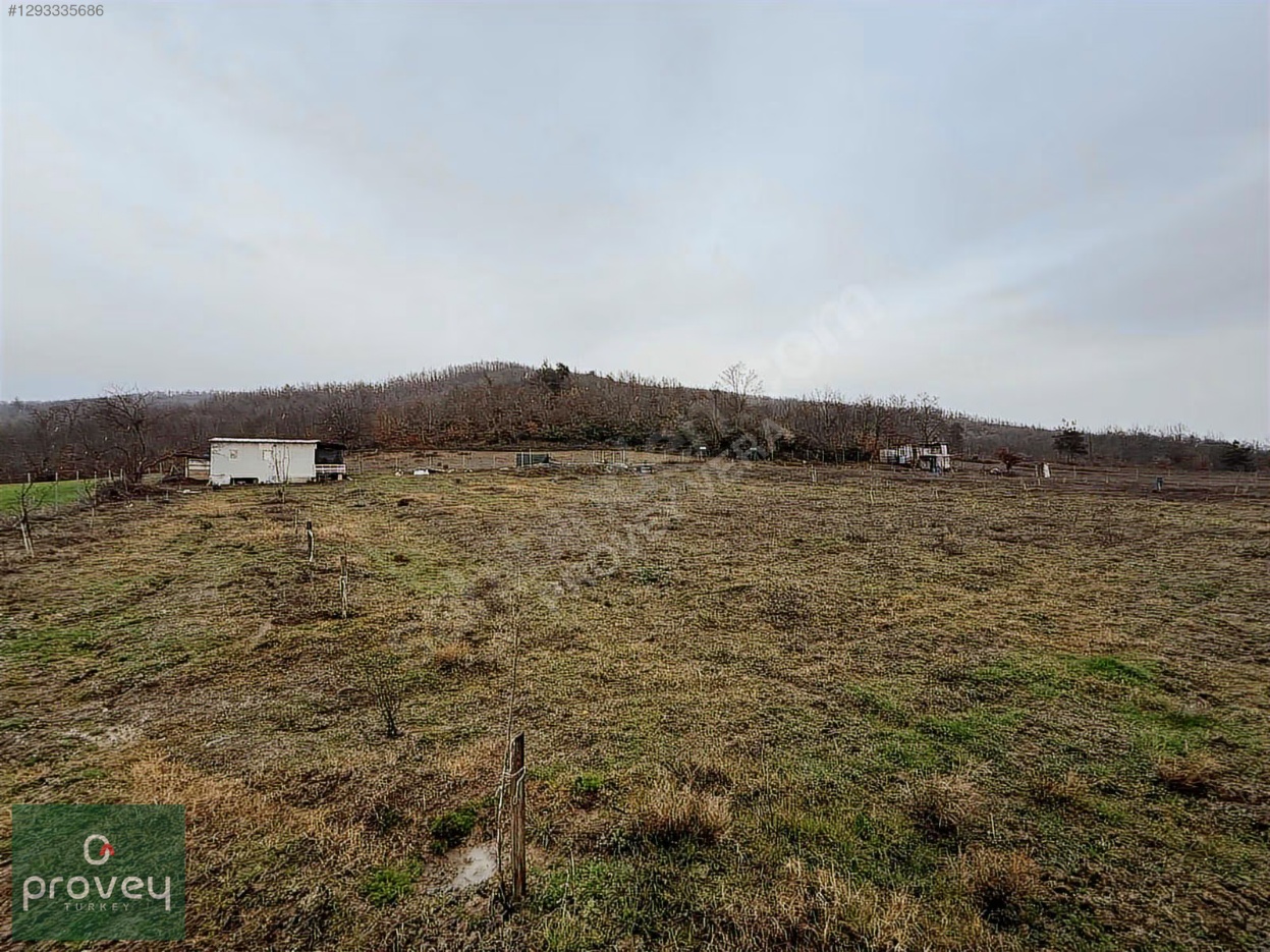 Provey Vera Satılık Kestel Gölcük Tarla