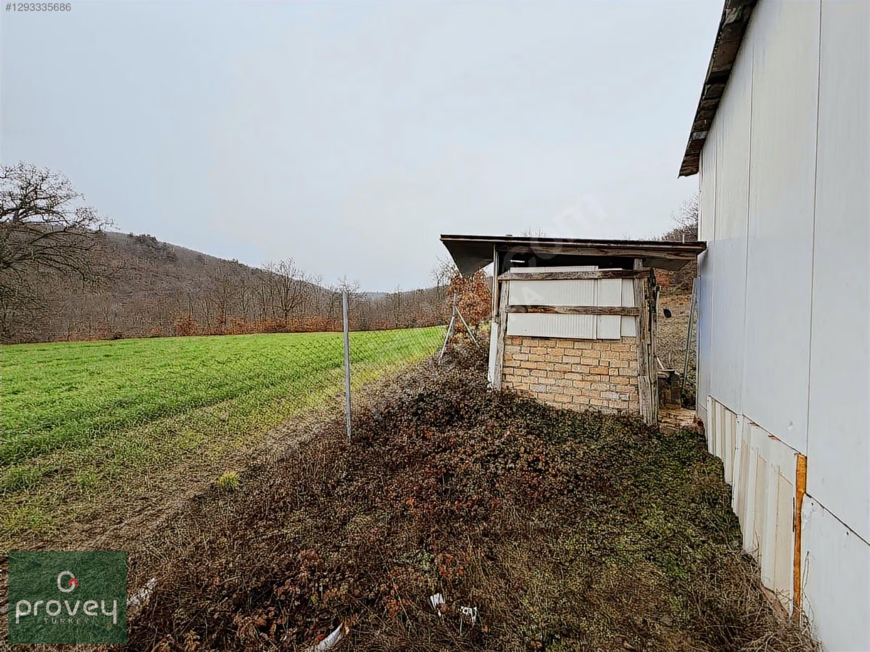 Provey Vera Satılık Kestel Gölcük Tarla