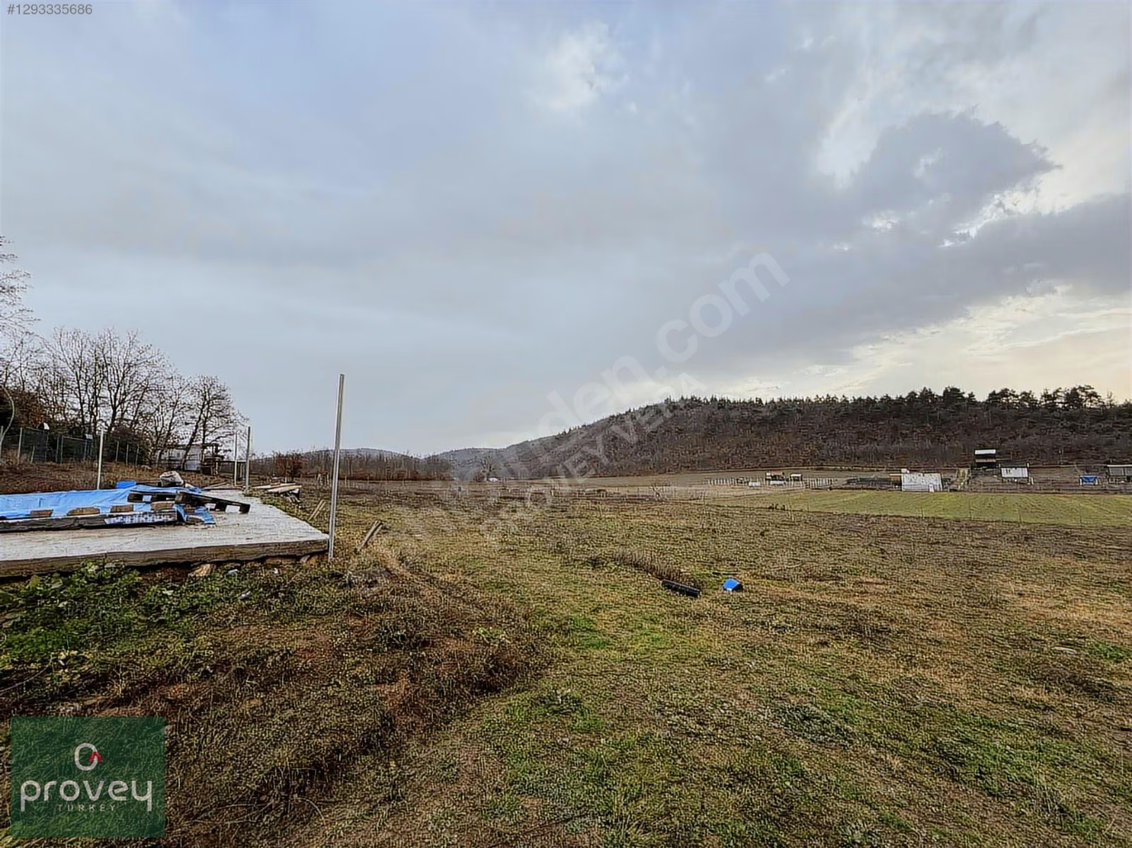 Provey Vera Satılık Kestel Gölcük Tarla