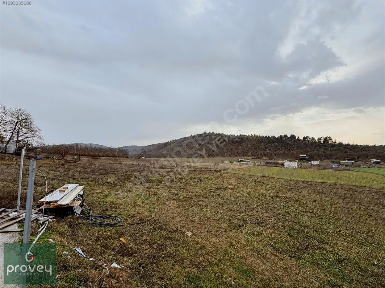 Provey Vera Satılık Kestel Gölcük Tarla