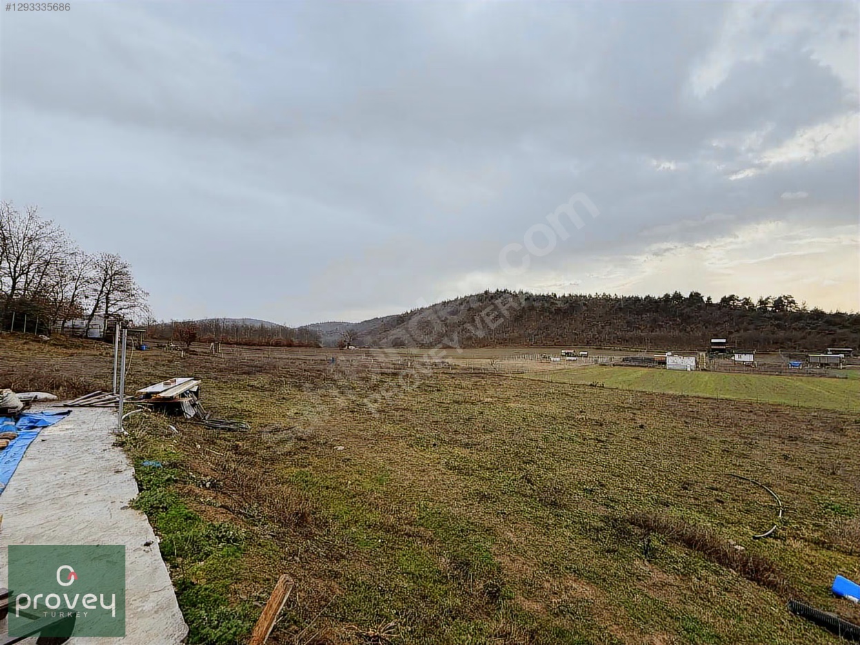 Provey Vera Satılık Kestel Gölcük Tarla