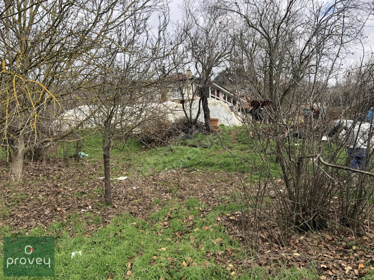 Provey Vera Yenişehir Kozdere'de Köy İçinde Satılık Fırsat Arazi