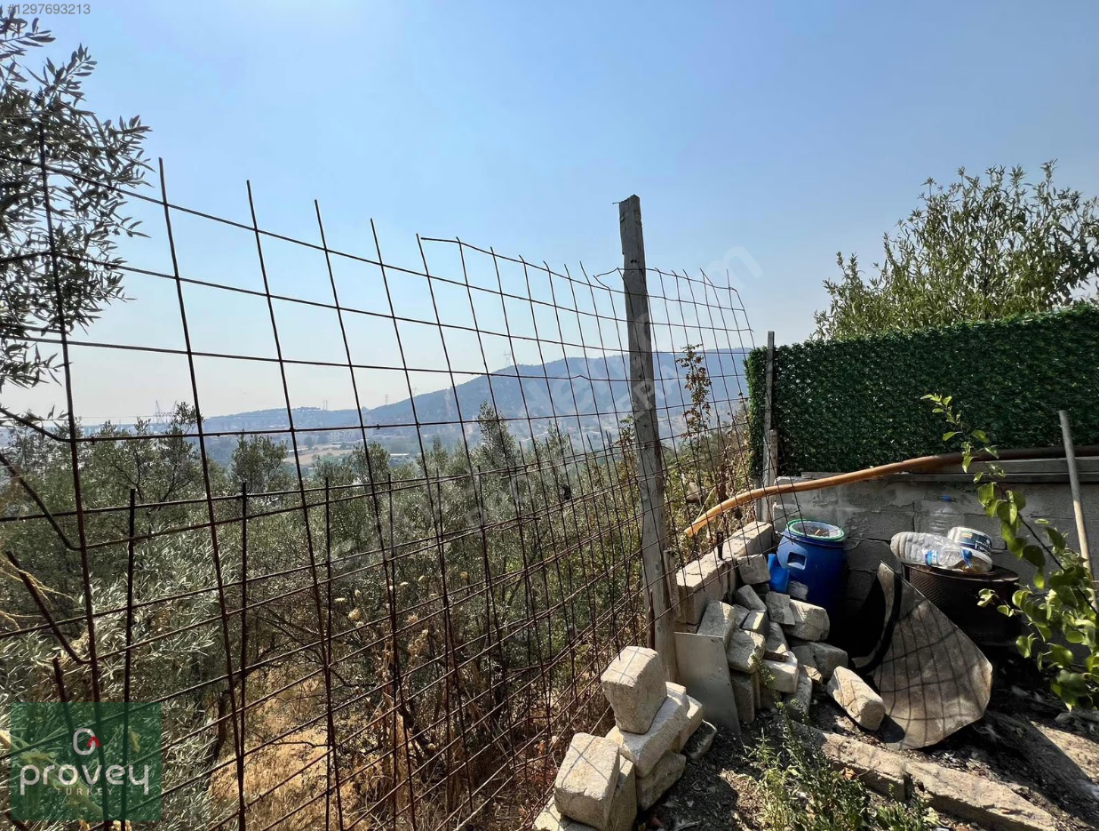 Provey Vera Demirtaş'ta Manzaralı Satılık Yapı İzinli Bahçe
favorilerime Ekle


yazdır
facebook İle Paylaş X İle Paylaş E-posta İle Gönder