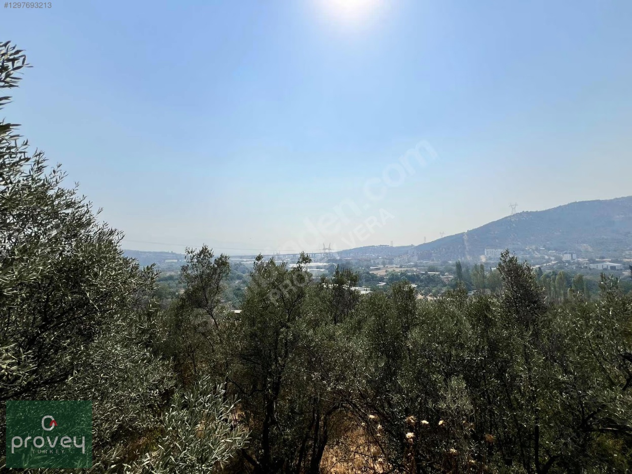 Provey Vera Demirtaş'ta Manzaralı Satılık Yapı İzinli Bahçe
favorilerime Ekle


yazdır
facebook İle Paylaş X İle Paylaş E-posta İle Gönder